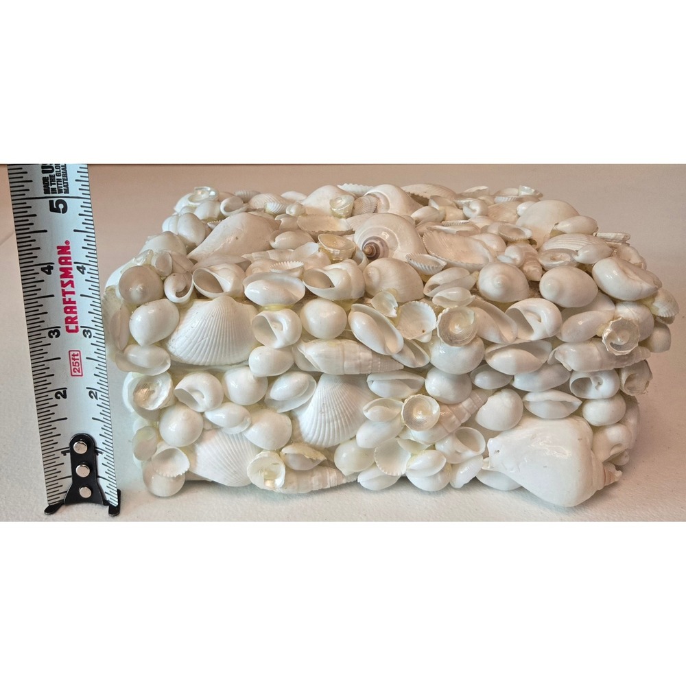 Vintage Natura Two's Company Seashell Trinket Jewelry Box Philippines Coastal